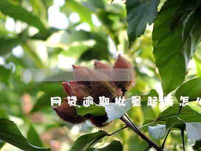 网贷逾期批量起诉怎么办 网贷逾期批量起诉怎么办