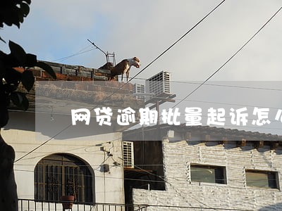 网贷逾期批量起诉怎么查 网贷逾期批量起诉怎么查