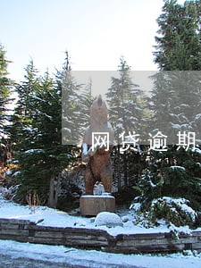 网贷逾期找不到了 网贷逾期找不到了