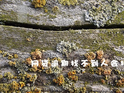 网贷逾期找不到人会报警吗 网贷逾期找不到人会报警吗