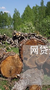 网贷逾期找不到公司怎么办