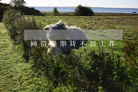 网贷逾期找不到工作 网贷逾期找不到工作