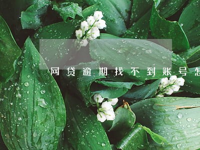 网贷逾期找不到账号怎么还 网贷逾期找不到账号怎么还