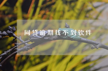 网贷逾期找不到软件 网贷逾期找不到软件