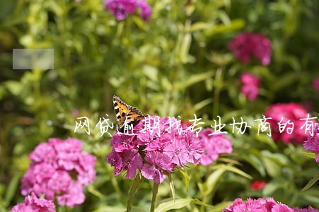 网贷逾期找专业协商的有用吗 网贷逾期找专业协商的有用吗