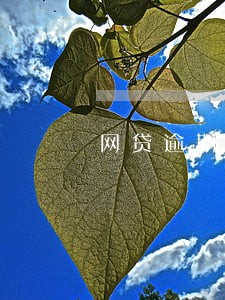 网贷逾期找了法务协商 网贷逾期找了法务协商