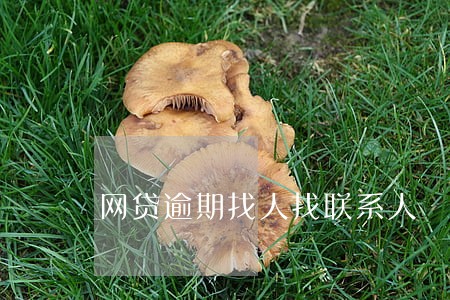网贷逾期找人找联系人 网贷逾期找人找联系人