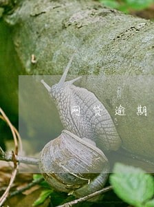 网贷逾期找什么部门投诉 网贷逾期找什么部门投诉