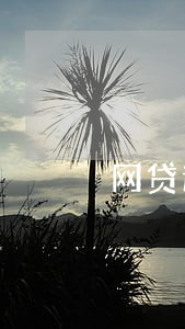 网贷逾期找信访办有用吗 网贷逾期找信访办有用吗