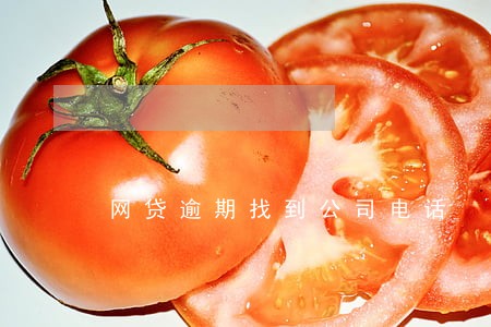 网贷逾期找到公司电话 网贷逾期找到公司电话
