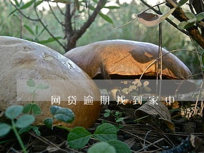 网贷逾期找到家中 网贷逾期找到家中