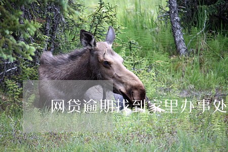网贷逾期找到家里办事处了怎么办 网贷逾期找到家里办事处了怎么办
