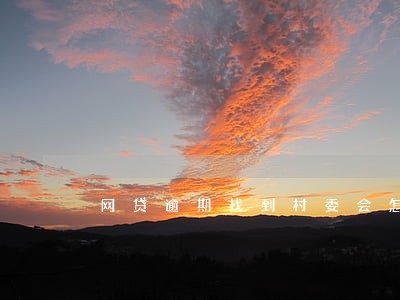网贷逾期找到村委会怎么办