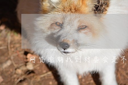 网贷逾期找到村委会是不是真 网贷逾期找到村委会是不是真