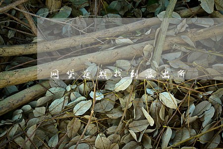 网贷逾期找到派出所 网贷逾期找到派出所