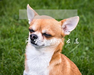 网贷逾期找家属 网贷逾期找家属