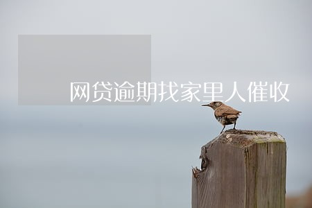 网贷逾期找家里人催收 网贷逾期找家里人催收