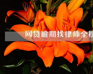 网贷逾期找律师全程委托 网贷逾期找律师全程委托