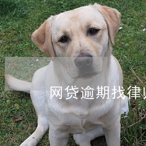 网贷逾期找律师函怎么办