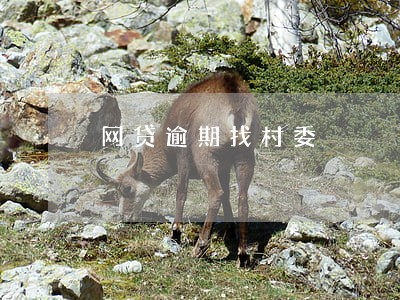网贷逾期找村委 网贷逾期找村委