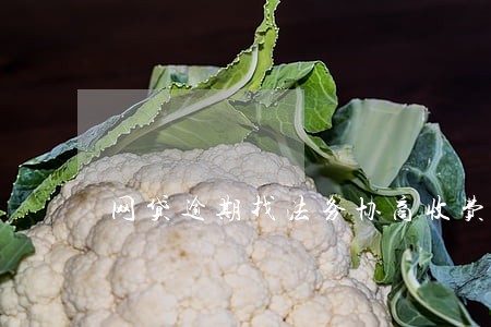 网贷逾期找法务协商收费多少 网贷逾期找法务协商收费多少
