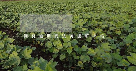 网贷逾期找法务能解决吗 网贷逾期找法务能解决吗