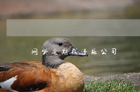 网贷逾期找清账公司 网贷逾期找清账公司