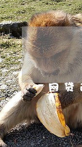 网贷逾期找父母 网贷逾期找父母