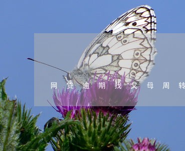 网贷逾期找父母周转 网贷逾期找父母周转