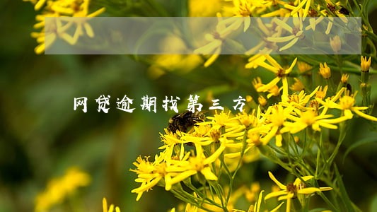 网贷逾期找第三方 网贷逾期找第三方