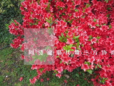 网贷逾期找第三方协商要多少钱 网贷逾期找第三方协商要多少钱
