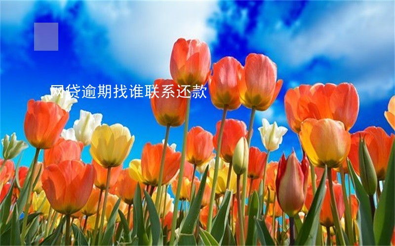 网贷逾期找谁联系还款 网贷逾期找谁联系还款
