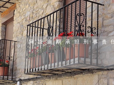 网贷逾期承担刑事责任 网贷逾期承担刑事责任