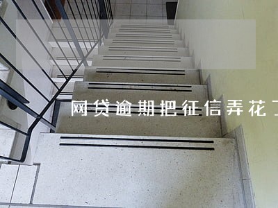 网贷逾期把征信弄花了怎么办 网贷逾期把征信弄花了怎么办