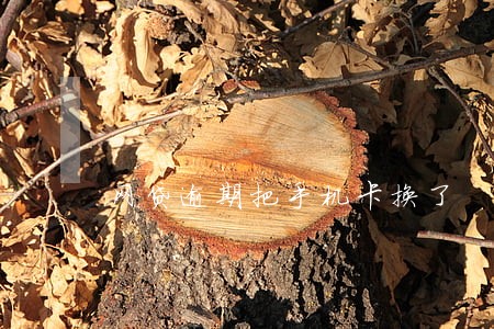 网贷逾期把手机卡换了 网贷逾期把手机卡换了