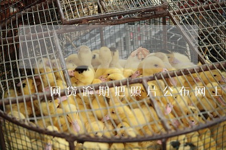 网贷逾期把照片公布网上 网贷逾期把照片公布网上