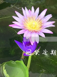 网贷逾期把电话本都删了 网贷逾期把电话本都删了