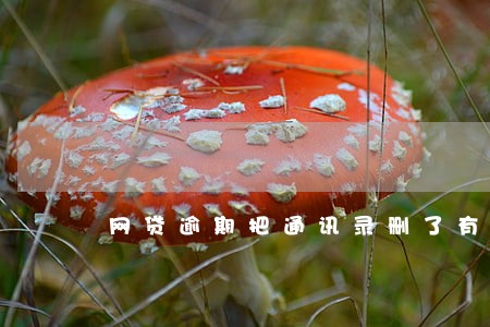 网贷逾期把通讯录删了有用吗 网贷逾期把通讯录删了有用吗