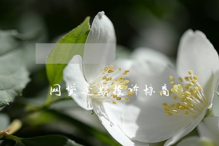 网贷逾期投诉协商 网贷逾期投诉协商