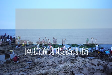网贷逾期投资期货 网贷逾期投资期货