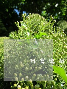 网贷逾期抖音执行风暴是什么意思 网贷逾期抖音执行风暴是什么意思