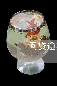 网贷逾期抗三个月 网贷逾期抗三个月