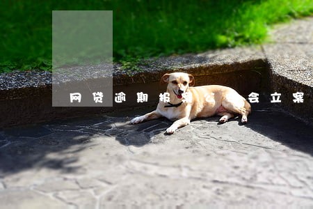 网贷逾期报案公安会立案吗 网贷逾期报案公安会立案吗