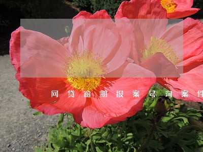 网贷逾期报案号询案件