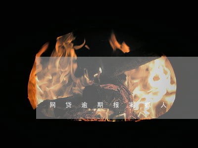 网贷逾期报案抓人 网贷逾期报案抓人