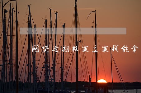 网贷逾期报案立案钱能拿回吗