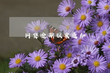 网贷逾期报案通知 网贷逾期报案通知