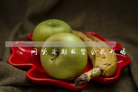 网贷逾期报警会抓我吗 网贷逾期报警会抓我吗