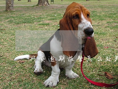 网贷逾期报警怎么处理 网贷逾期报警怎么处理