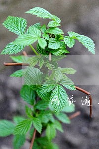 网贷逾期报警的话找哪里